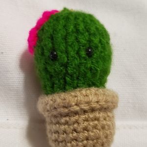 Meet your Posher, Irma